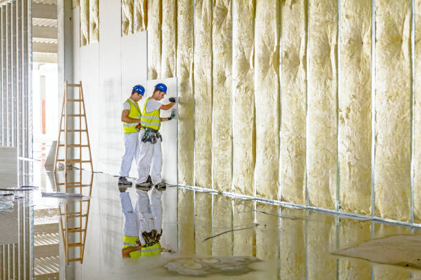 Best Insulation Removal  in Redwood, OR